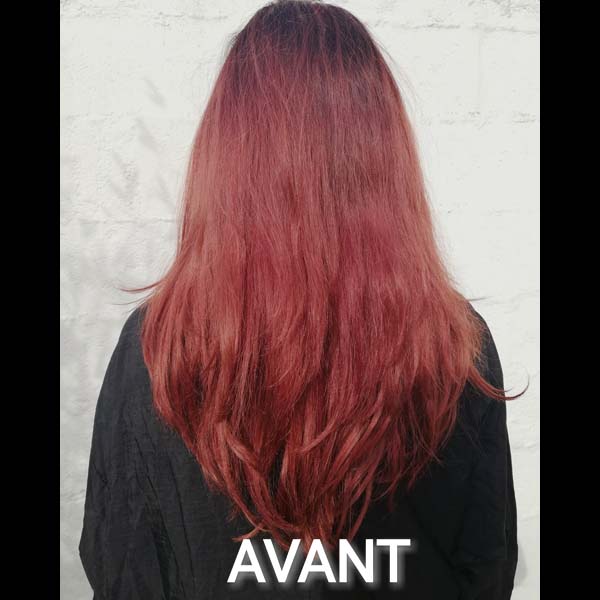 Avant coloration : Crédit photo : chaumontphilippe@sfr.fr