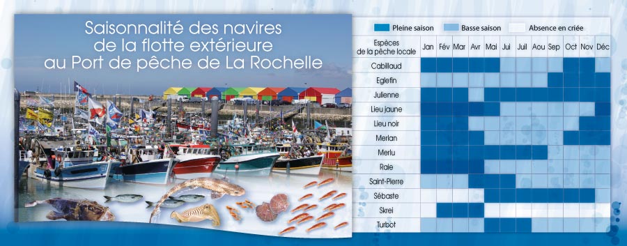 Saisonnalité flotte extérieure au Port de La Rochelle Chef de Baie