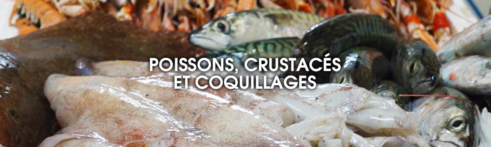 Les variétés de poisson, crustacés et coquillages
