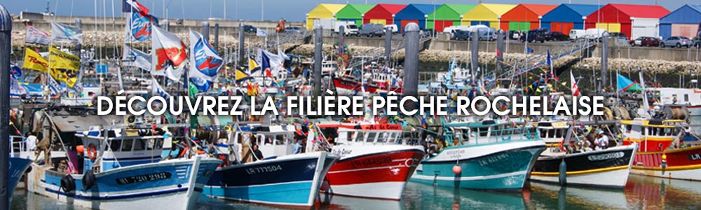 Visites du Port de pêche de La Rochelle et ateliers de découpe du poisson