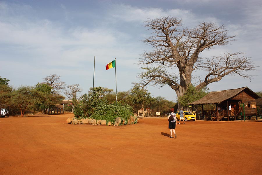 Réserve privée de Bandia Sénégal